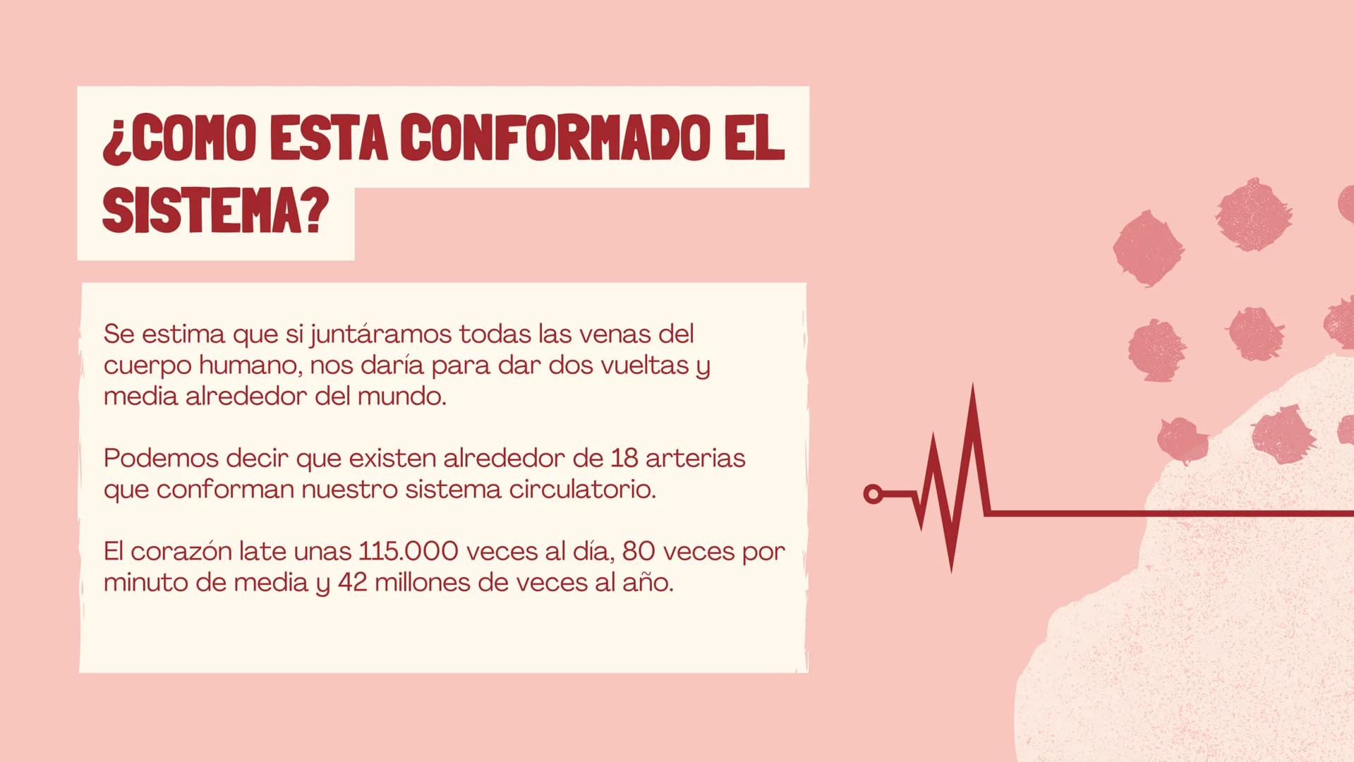 m
EL
SISTEMA
CIRCULATORIO Funciones del sistema circulatorio
• Transporte de oxígeno
•Transporte de nutrientes
•
.
• Transporte de hormonas
