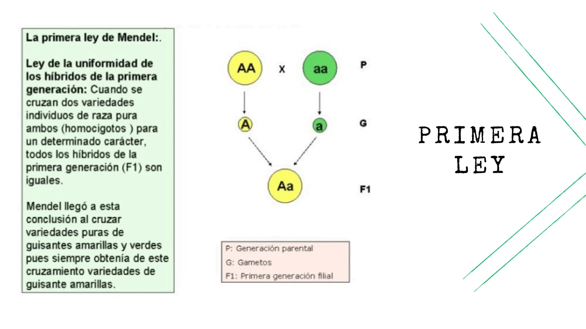 BIOLOGÍA
Leyes de
Mendel La primera ley de Mendel:.
Ley de la uniformidad de
los híbridos de la primera
generación: Cuando se
cruzan dos var