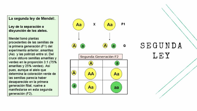 BIOLOGÍA
Leyes de
Mendel La primera ley de Mendel:.
Ley de la uniformidad de
los híbridos de la primera
generación: Cuando se
cruzan dos var
