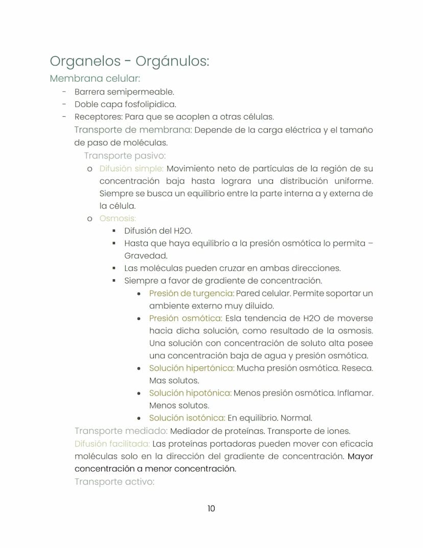 Biología
"Dentro de la ciencia ningún camino está cerrado."
Historia de la biología:
Biología:
-
-
-
Busca estudiar hábitos que pasan inadve