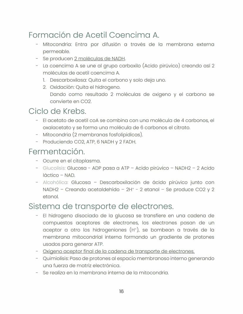 Biología
"Dentro de la ciencia ningún camino está cerrado."
Historia de la biología:
Biología:
-
-
-
Busca estudiar hábitos que pasan inadve