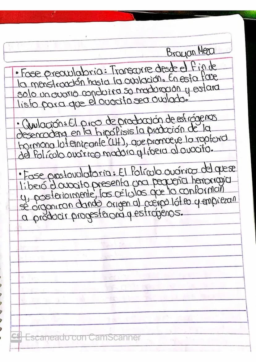 CICIO MENSTRUAL
OVULACION-
Menstroación
Preparandose para
ovulación
Crecimiento Folicular
C
Expulsión
Endometrio
(Ovario Hormonas
Dias
Menst