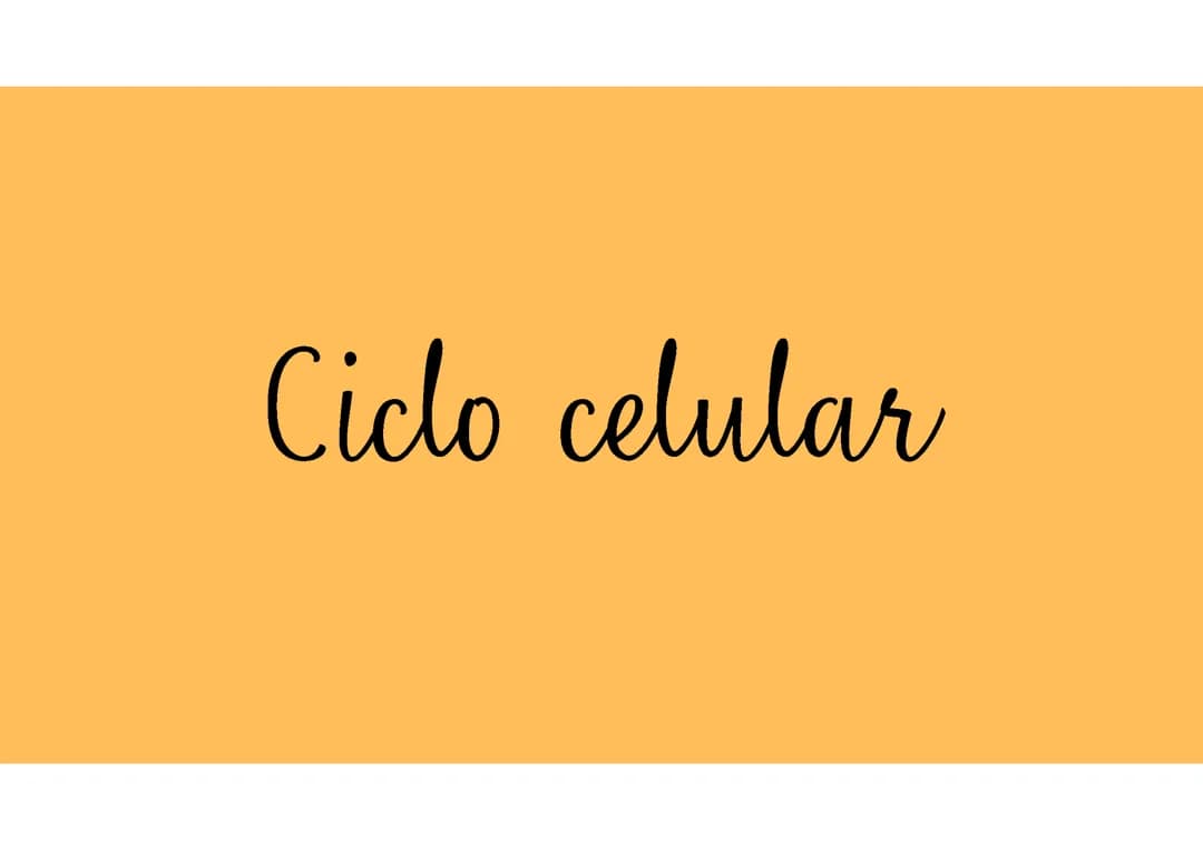 Ciclo celular