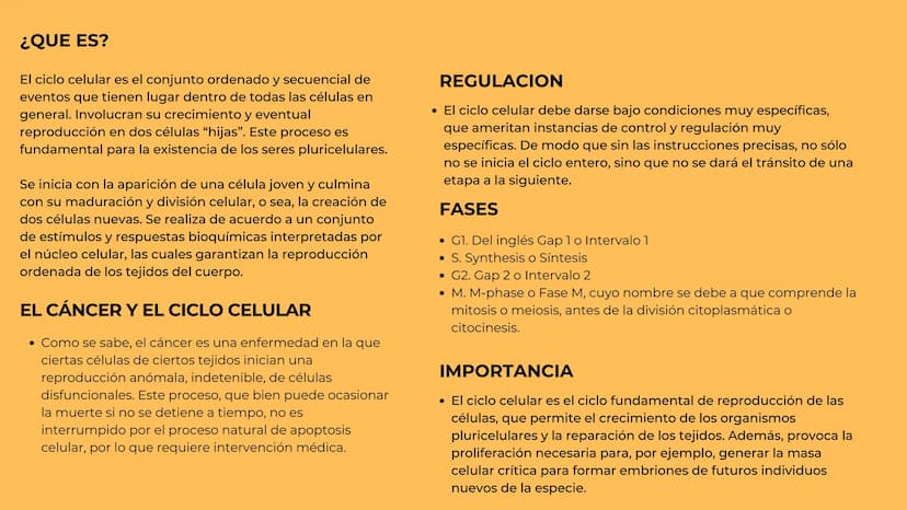 Ciclo celular ¿QUE ES?
El ciclo celular es el conjunto ordenado y secuencial de
eventos que tienen lugar dentro de todas las células en
gene