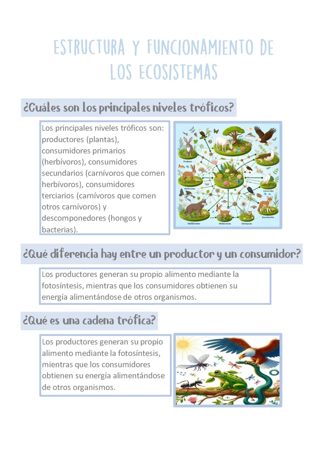 Estructura y Funcionamiento de los Ecosistemas