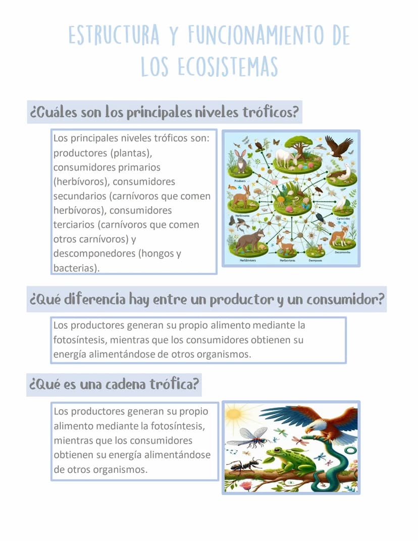 ESTRUCTURA Y FUNCIONAMIENTO DE
LOS ECOSISTEMAS
¿Cuáles son los principales niveles tróficos?
Los principales niveles tróficos son:
productor