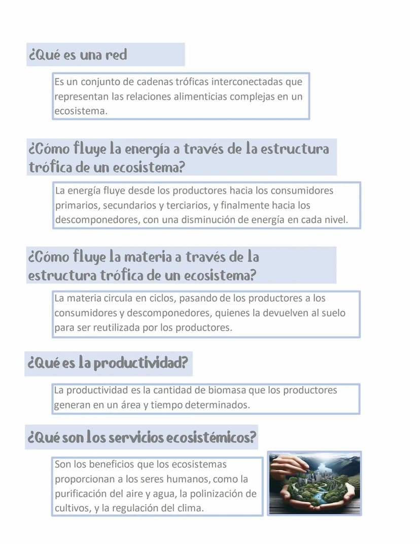ESTRUCTURA Y FUNCIONAMIENTO DE
LOS ECOSISTEMAS
¿Cuáles son los principales niveles tróficos?
Los principales niveles tróficos son:
productor