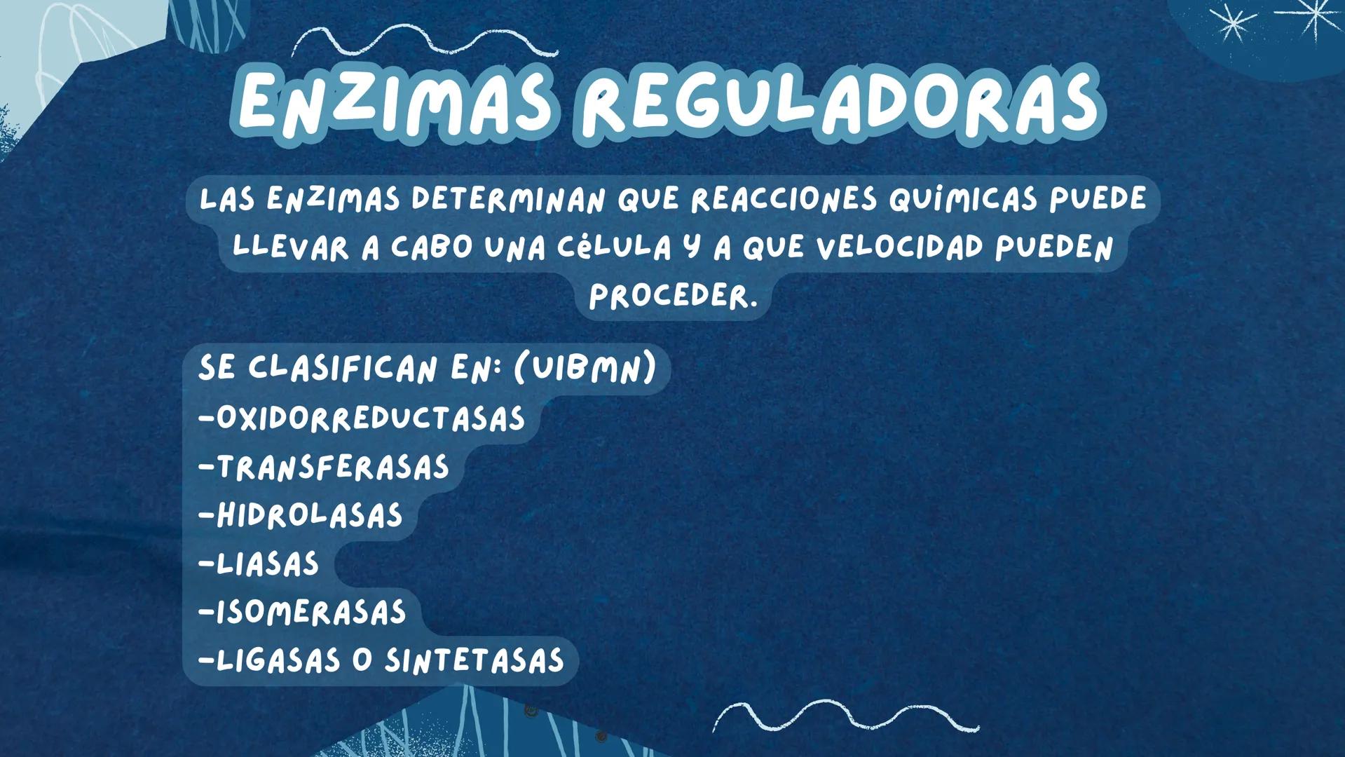 REGULACIÓN DEL
Metabolismo ( ENZIMAS REGULADORAS
LAS ENZIMAS DETERMINAN QUE REACCIONES QUIMICAS PUEDE
LLEVAR A CABO UNA CELULA Y A QUE VELOC