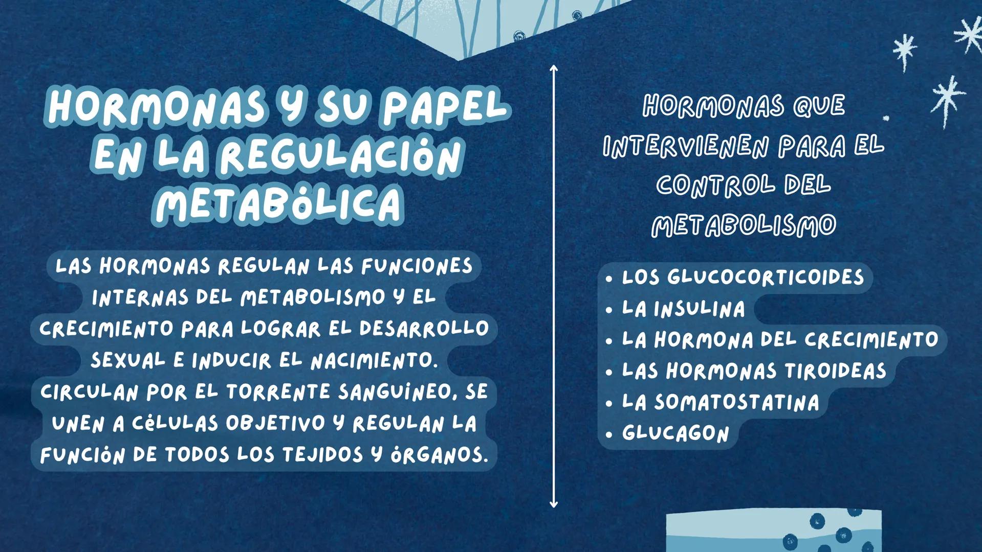 REGULACIÓN DEL
Metabolismo ( ENZIMAS REGULADORAS
LAS ENZIMAS DETERMINAN QUE REACCIONES QUIMICAS PUEDE
LLEVAR A CABO UNA CELULA Y A QUE VELOC