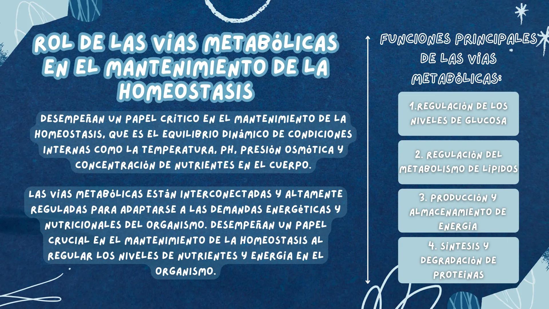REGULACIÓN DEL
Metabolismo ( ENZIMAS REGULADORAS
LAS ENZIMAS DETERMINAN QUE REACCIONES QUIMICAS PUEDE
LLEVAR A CABO UNA CELULA Y A QUE VELOC