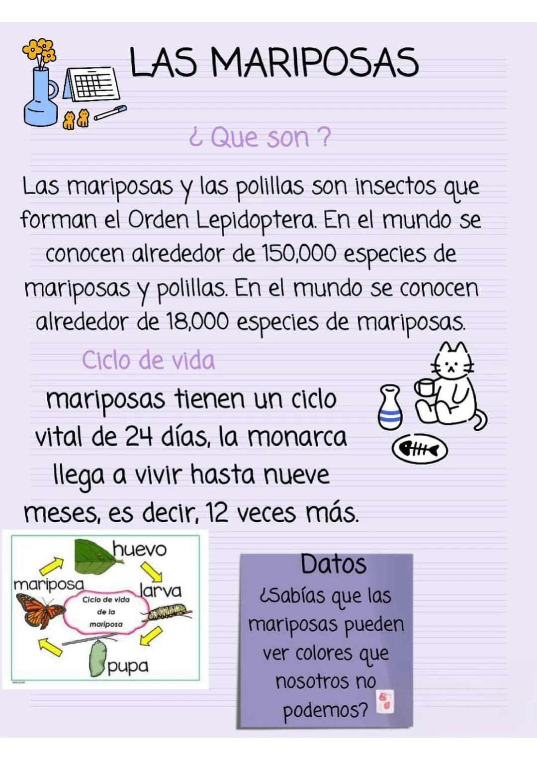 Las mariposas 