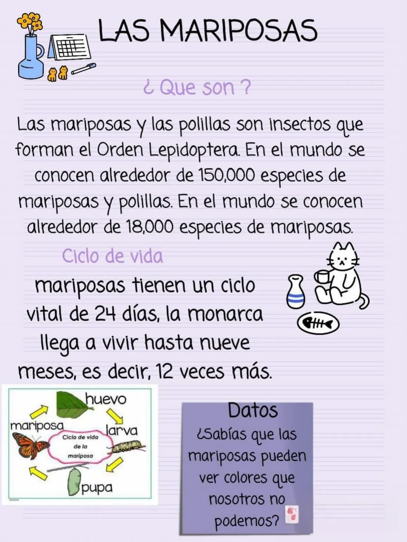 LAS MARIPOSAS
¿Que son ?
Las mariposas y las polillas son insectos que
forman el Orden Lepidoptera. En el mundo se
conocen alrededor de 150,