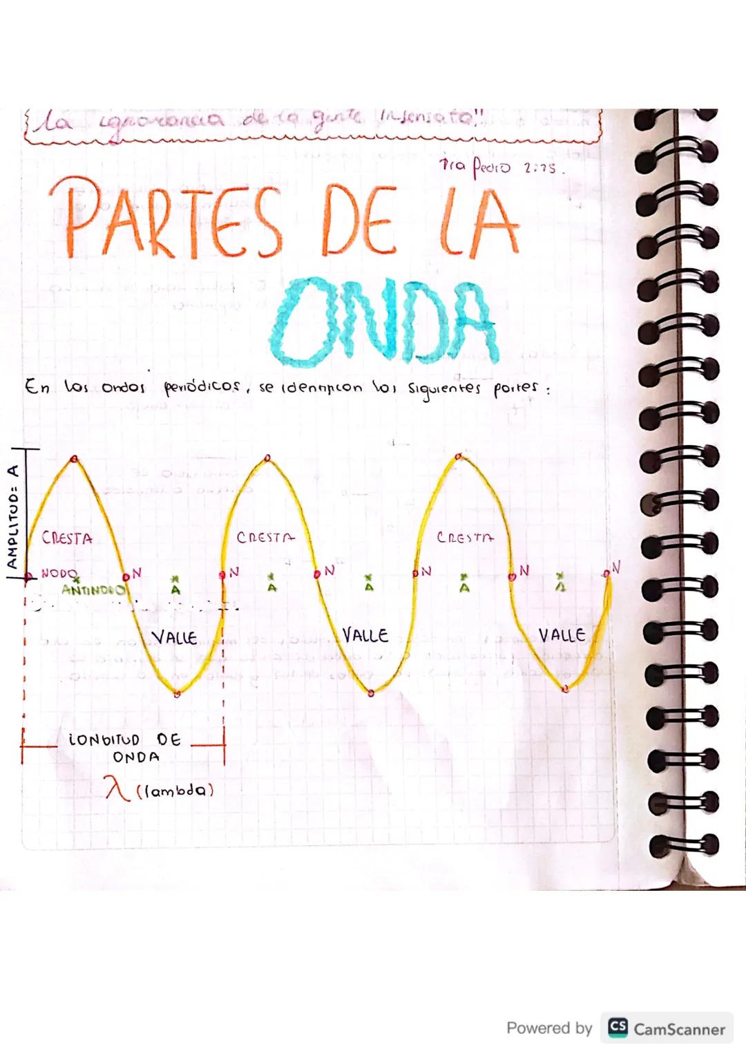 {la ignorancia de la gente Insensate"!
Tra Pedro 2:75.
PARTES DE LA
ONDA
En los ondos periódicos, se identition lo Siguientes portes:
CRESTA