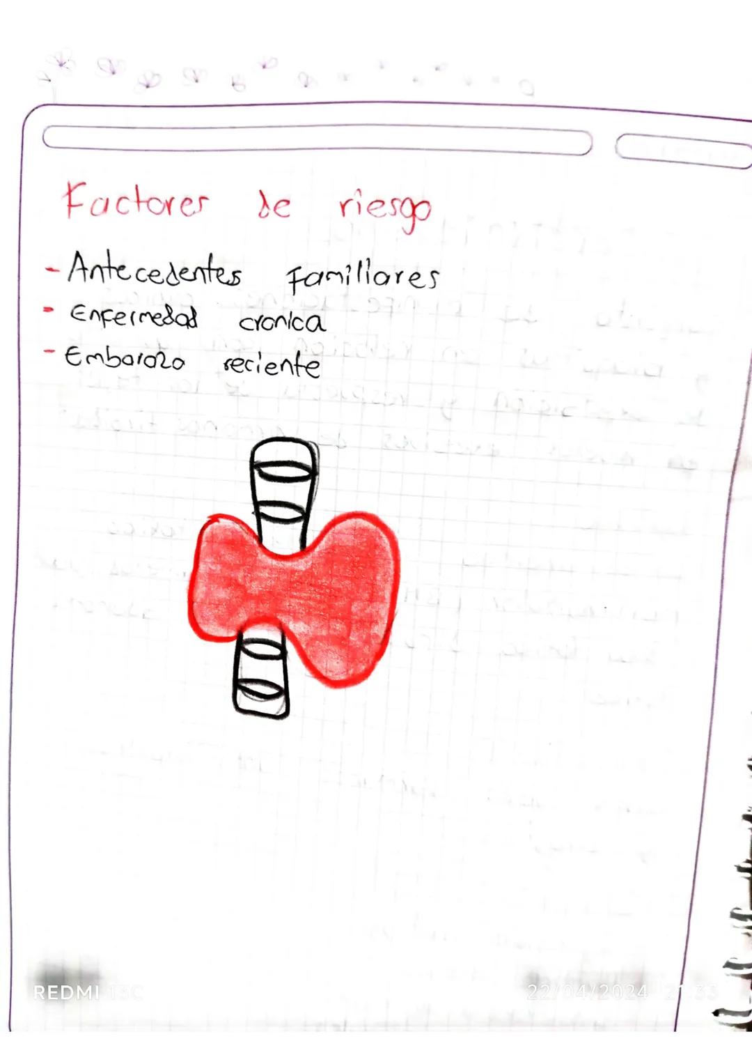 Sistema endocrino

conjunto de glandulas y arganas que elaboron
homonas y las liberon directamente en la
sangre Para que lleguen a los tejid