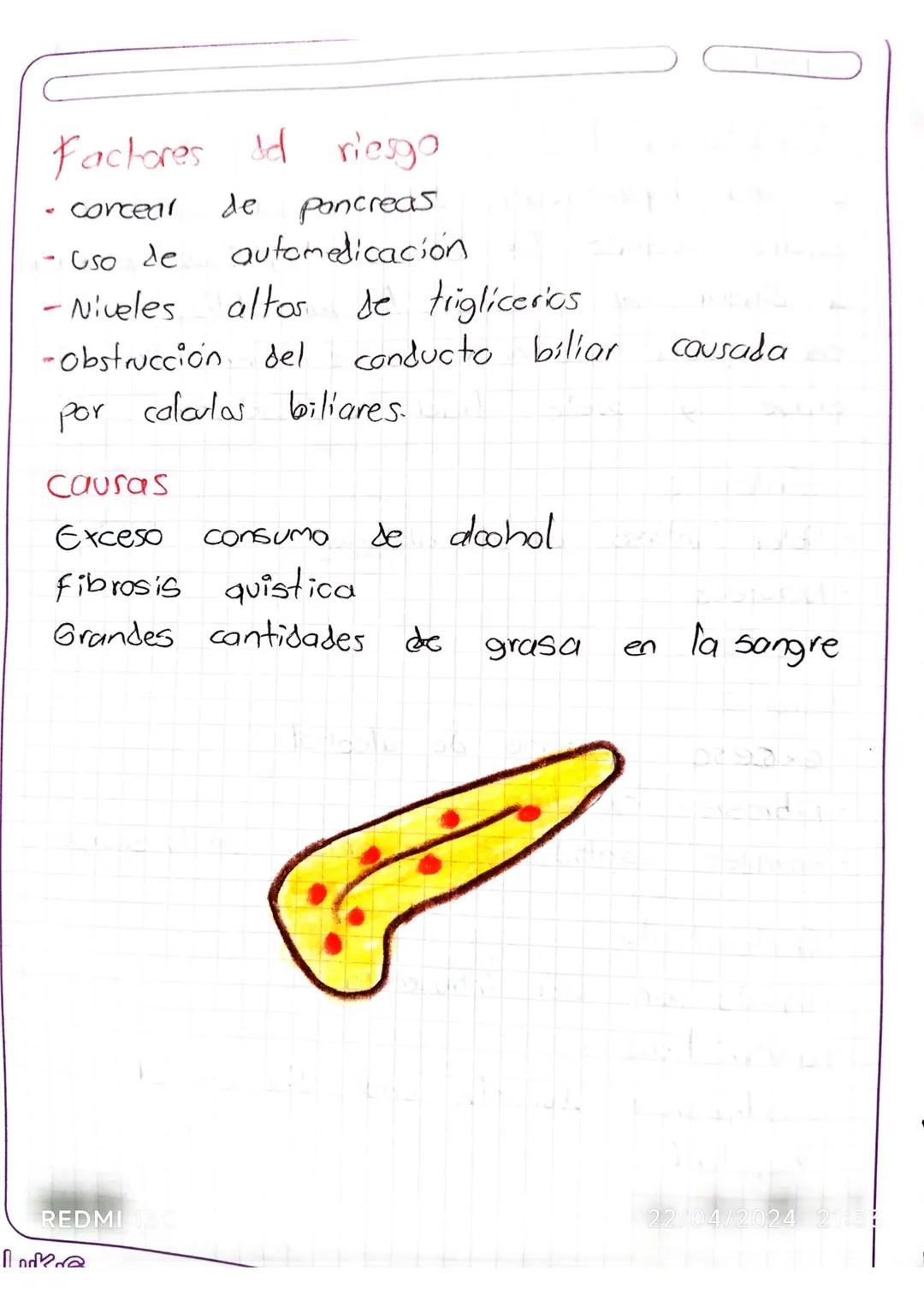 Sistema endocrino

conjunto de glandulas y arganas que elaboron
homonas y las liberon directamente en la
sangre Para que lleguen a los tejid