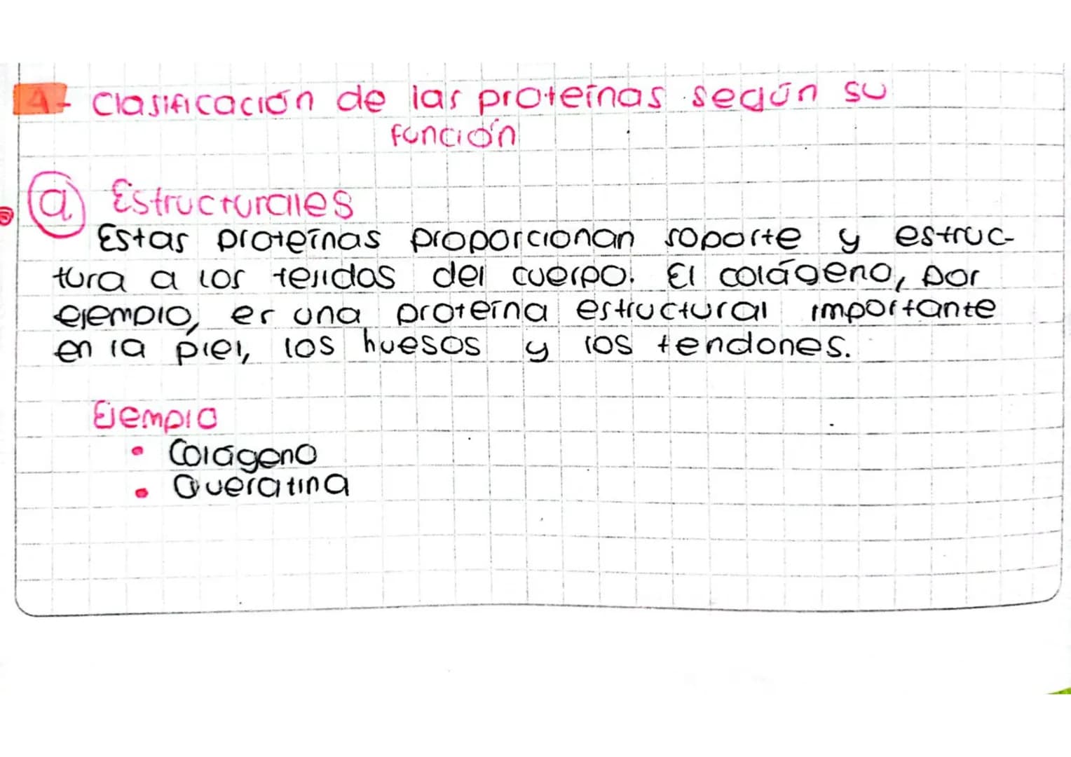4 Clasificación de las proteínas según su
Funcion
a
Estructurales
Estas proteinas proporcionan soporte y estruc
tura a los tenidos del cuerp