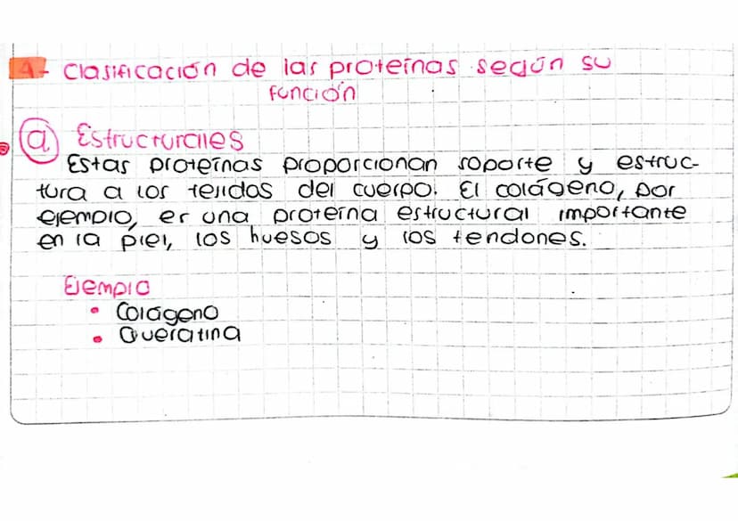 4 Clasificación de las proteínas según su
Funcion
a
Estructurales
Estas proteinas proporcionan soporte y estruc
tura a los tenidos del cuerp