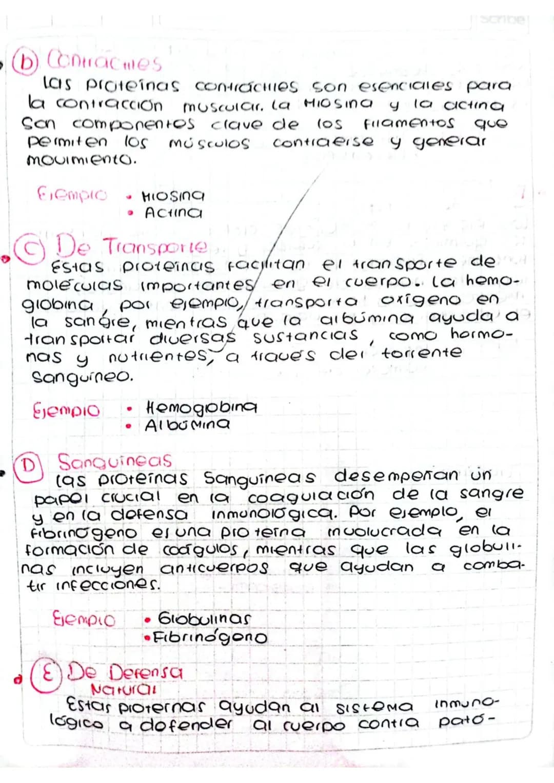 4 Clasificación de las proteínas según su
Funcion
a
Estructurales
Estas proteinas proporcionan soporte y estruc
tura a los tenidos del cuerp