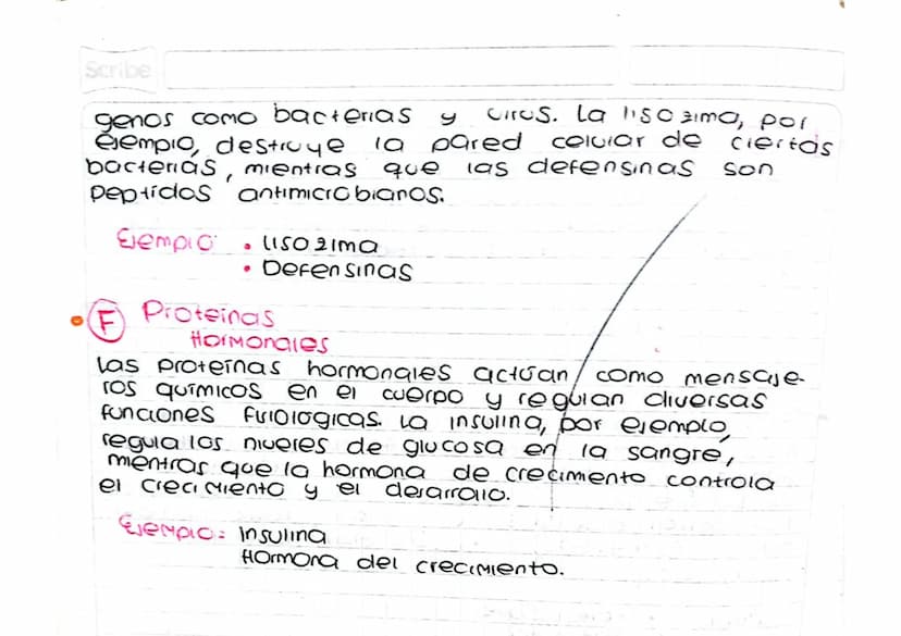 4 Clasificación de las proteínas según su
Funcion
a
Estructurales
Estas proteinas proporcionan soporte y estruc
tura a los tenidos del cuerp