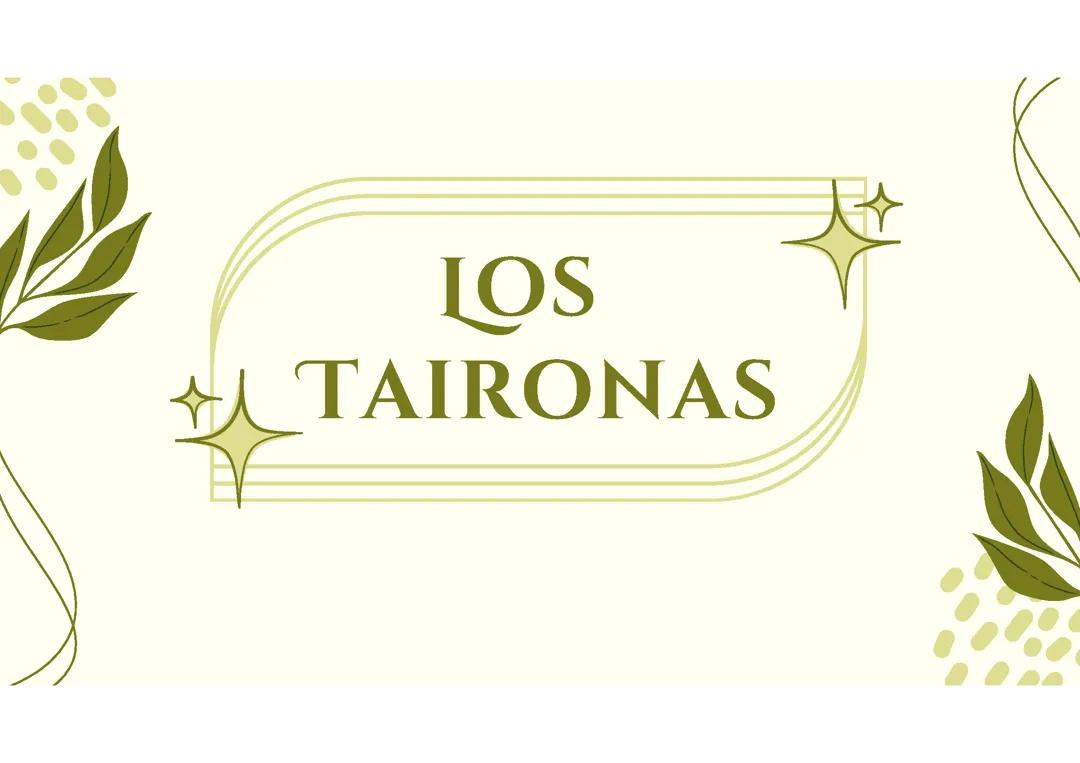 Los Tairona: Historia, Costumbres y Artesanías