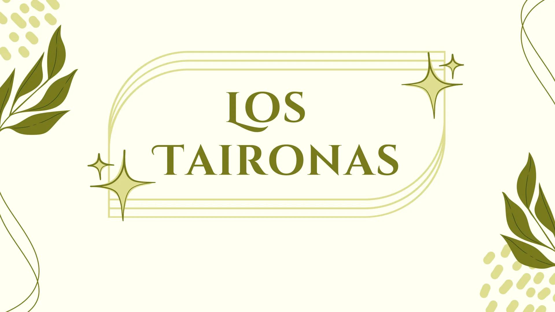 LOS
TAIRONAS LOS TAIRONA
Los Taironas fueron una civilización precolombina
que habitó la región de la Sierra Nevada de Santa
Marta, en lo qu