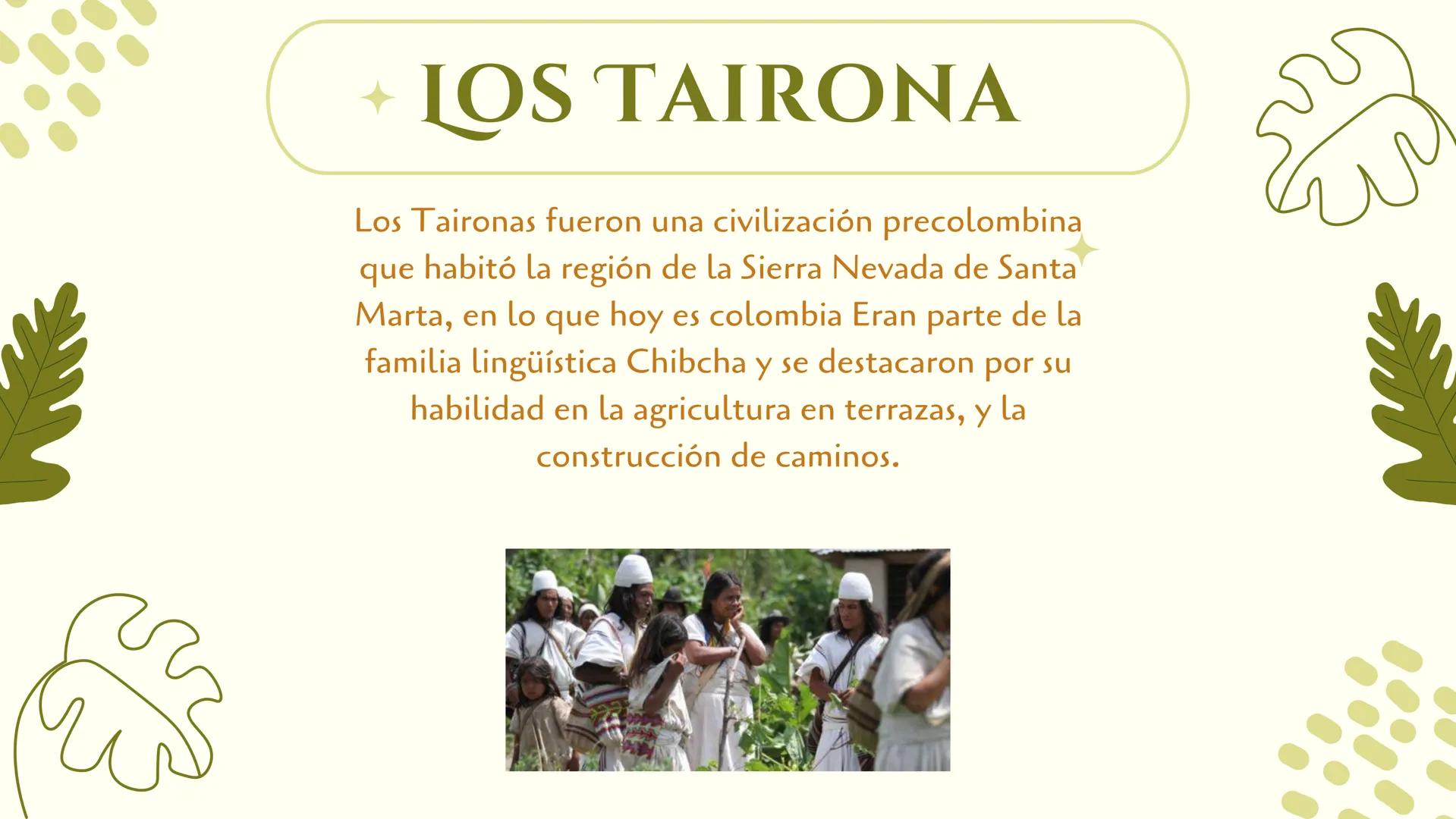 LOS
TAIRONAS LOS TAIRONA
Los Taironas fueron una civilización precolombina
que habitó la región de la Sierra Nevada de Santa
Marta, en lo qu