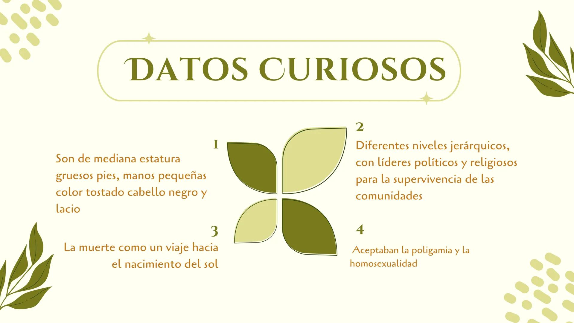 LOS
TAIRONAS LOS TAIRONA
Los Taironas fueron una civilización precolombina
que habitó la región de la Sierra Nevada de Santa
Marta, en lo qu