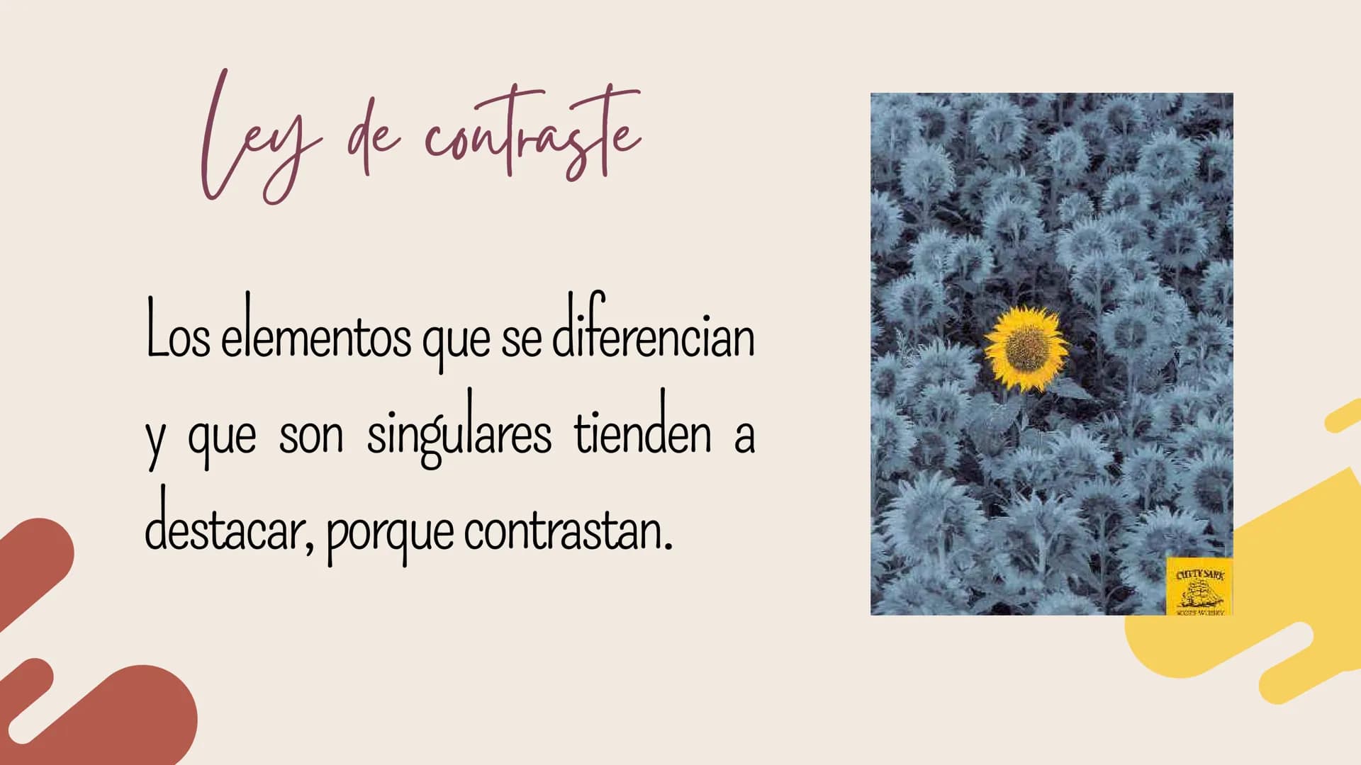 Ley de la gestatt
by
Son reglas que nos explican el
origen de las percepciones a
través de los sentidos.
PROXIMIDAD
SEMEJANZA
DIRECCIÓN
COMÚ