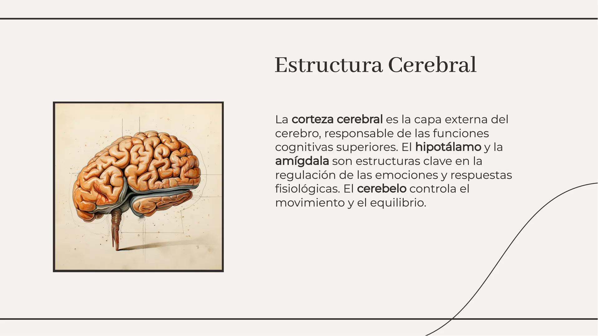 # Explorando los Apuntes del
## Cerebro: Un Análisis Profundo # Introducción

El cerebro es el órgano más complejo del
cuerpo humano, respon