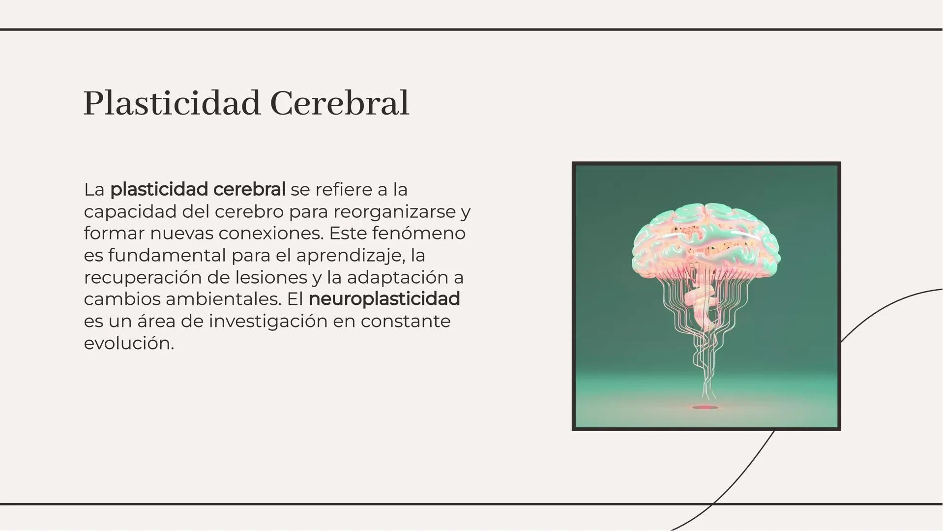 # Explorando los Apuntes del
## Cerebro: Un Análisis Profundo # Introducción

El cerebro es el órgano más complejo del
cuerpo humano, respon