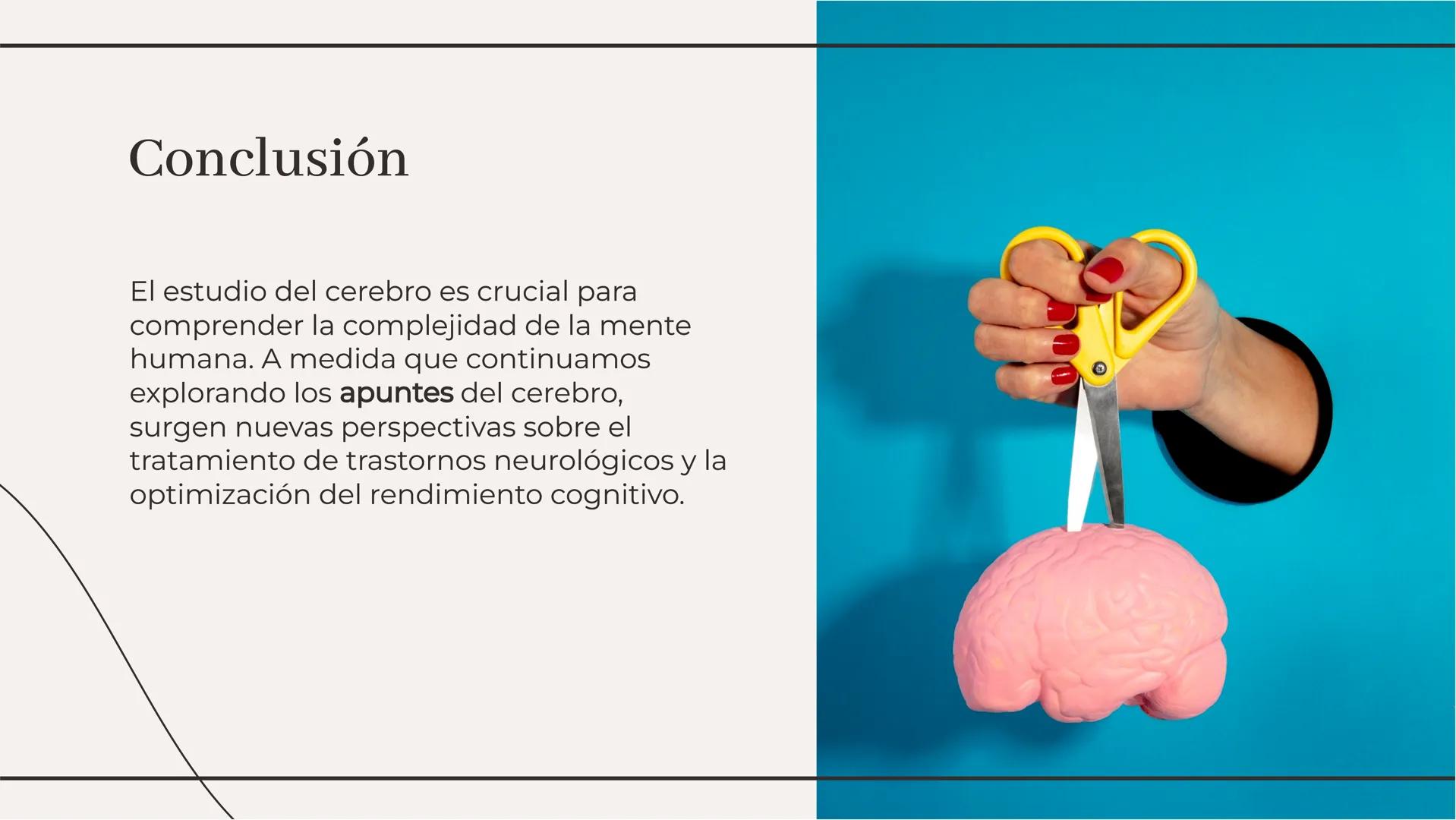# Explorando los Apuntes del
## Cerebro: Un Análisis Profundo # Introducción

El cerebro es el órgano más complejo del
cuerpo humano, respon