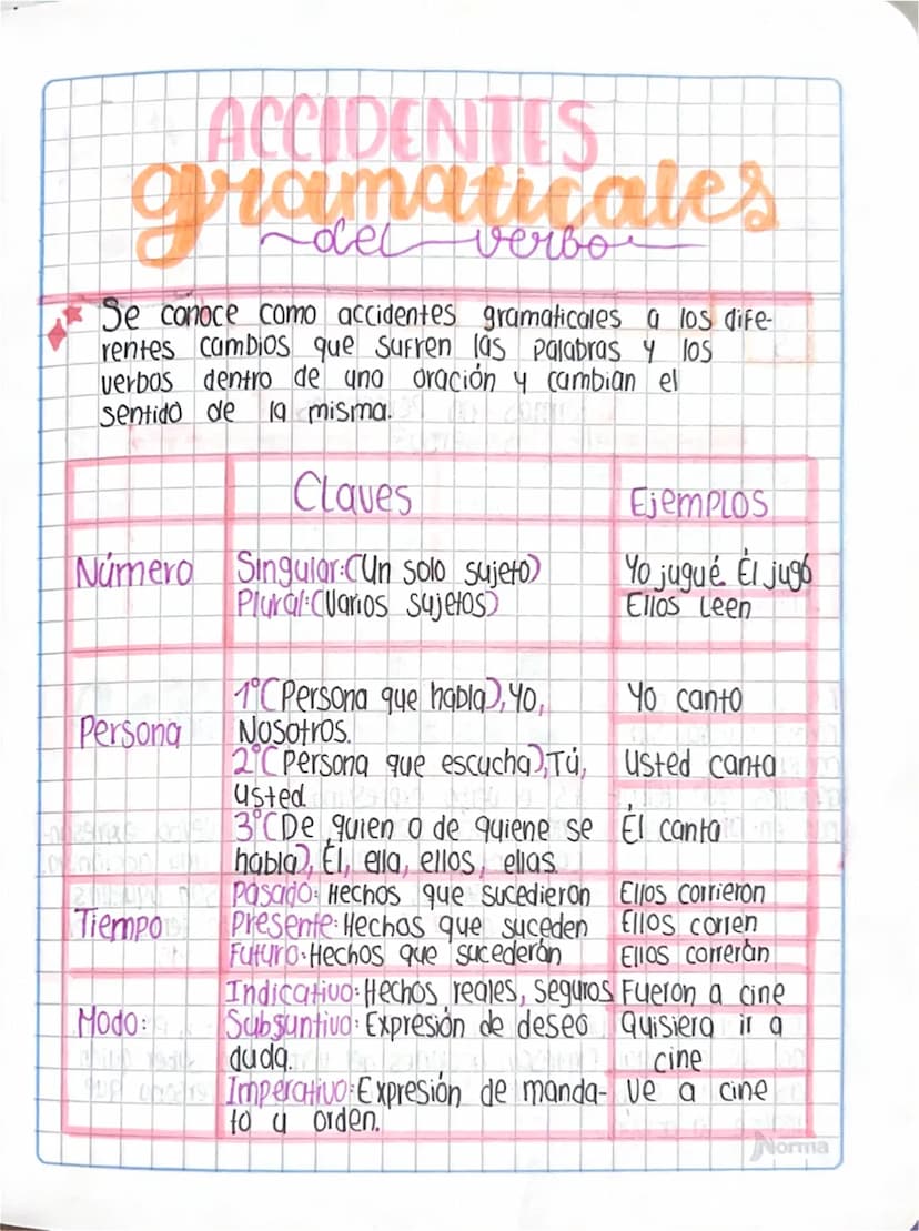 ACCIDENTES
gramaticales
Se conoce como accidentes gramaticales a los dife-
rentes cambios que sufren las palabras y los
verbos dentro de una