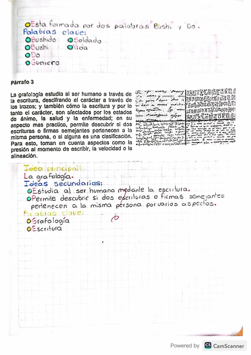 GU
20 Marzo 2024
parrafo
Investigar
a¿Que es un pallafo?
b.¿Como se reconoce visualmente un paira fo?
C Nombre los elementos del párrafo y d