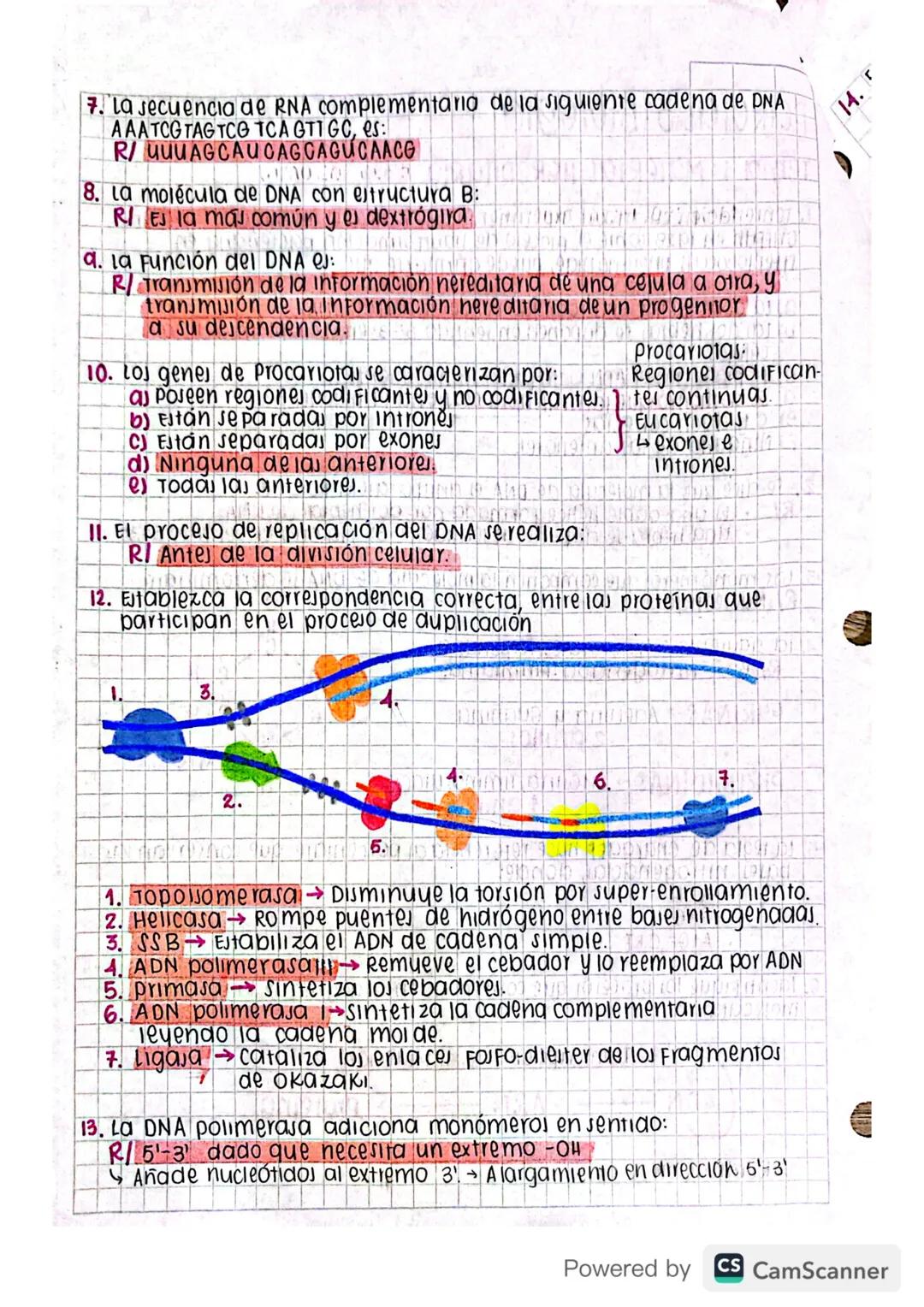 # PARCIAL 3: BIOLOgia

Tema 1: MATERIAL HEREDITARIO

1. Teniendo en cuenta el experimento que realizó el investigador Frederick
Griffith en 