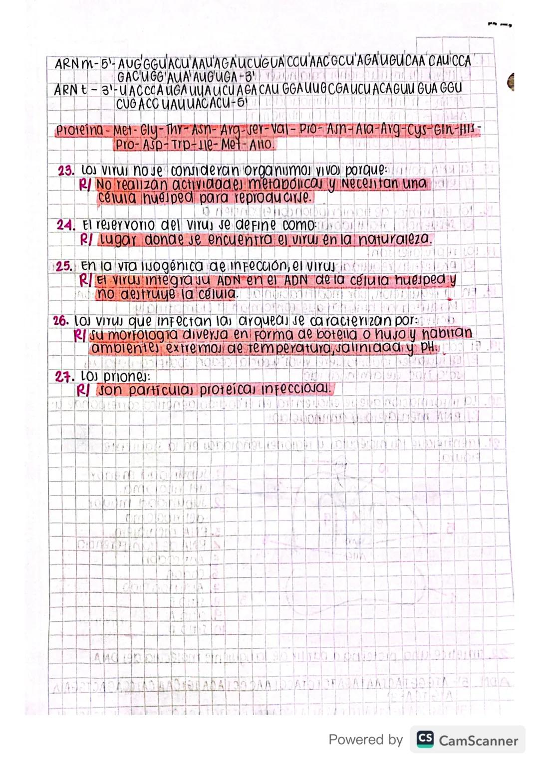 # PARCIAL 3: BIOLOgia

Tema 1: MATERIAL HEREDITARIO

1. Teniendo en cuenta el experimento que realizó el investigador Frederick
Griffith en 