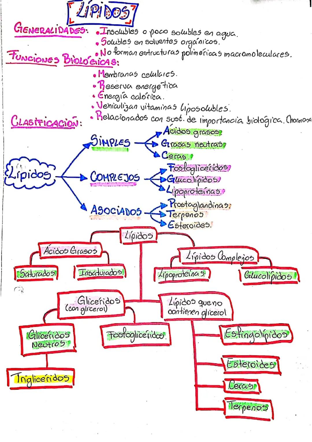 LIPIDOS

GENERALIDADES: Insolubles o poco solubles en agua.
*   Solubles en soluentes orgánicos."
*   No forman estructuras poliméricas macr