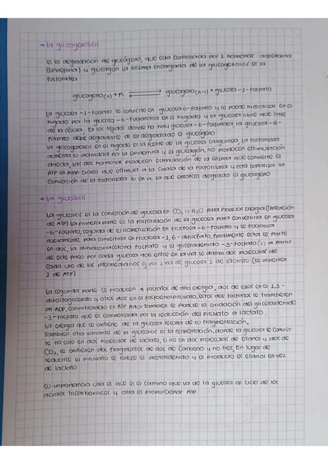 la giuxogenolicic
ela degradación de giveógeno, que esta Controlada por 2 hormonar agrenalina
(einemna) u glucagon La enzima encargada de la
