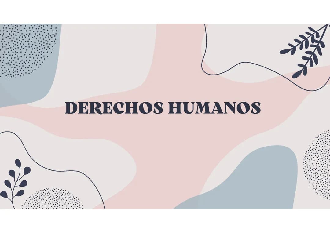 Derechos humanos 