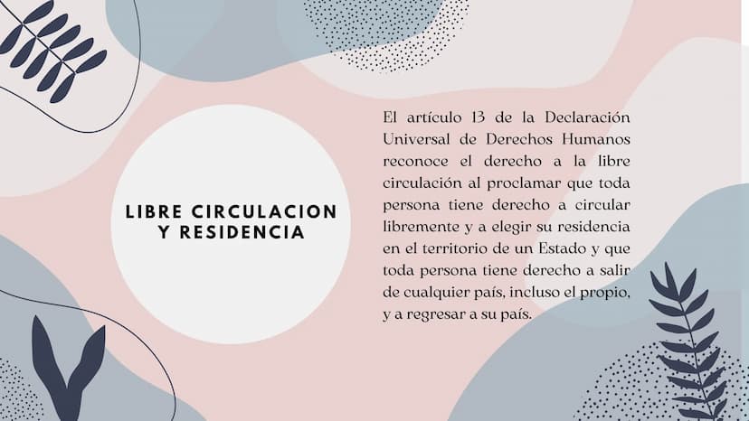 DERECHOS HUMANOS DERECHOS A TRATAR:
•
PRESUNCION
DE
•
INOCENCIA.
· VIDA PRIVADA.
⚫ LIBRE CIRCULACION Y
.
•
RESIDENCIA.
• DERECHO A ASILO.
⚫ 