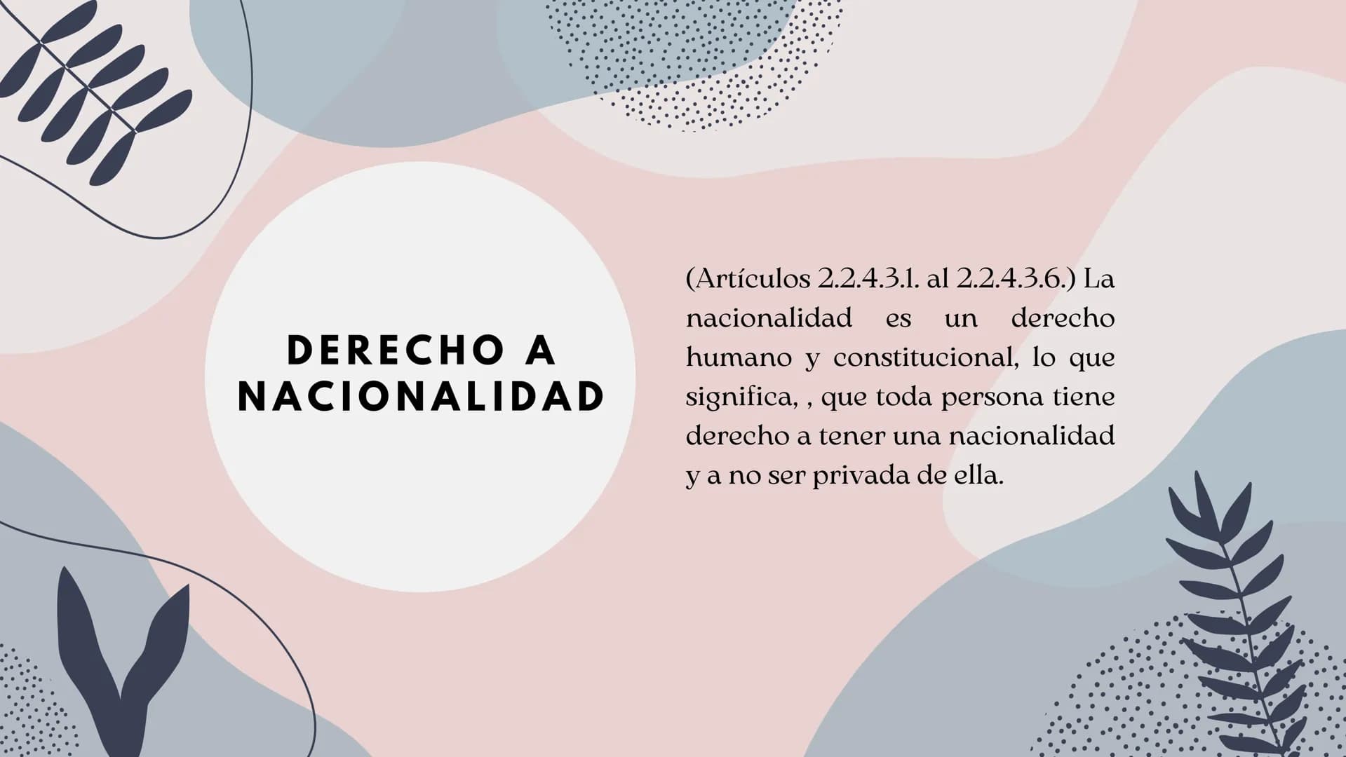 DERECHOS HUMANOS DERECHOS A TRATAR:
•
PRESUNCION
DE
•
INOCENCIA.
· VIDA PRIVADA.
⚫ LIBRE CIRCULACION Y
.
•
RESIDENCIA.
• DERECHO A ASILO.
⚫ 