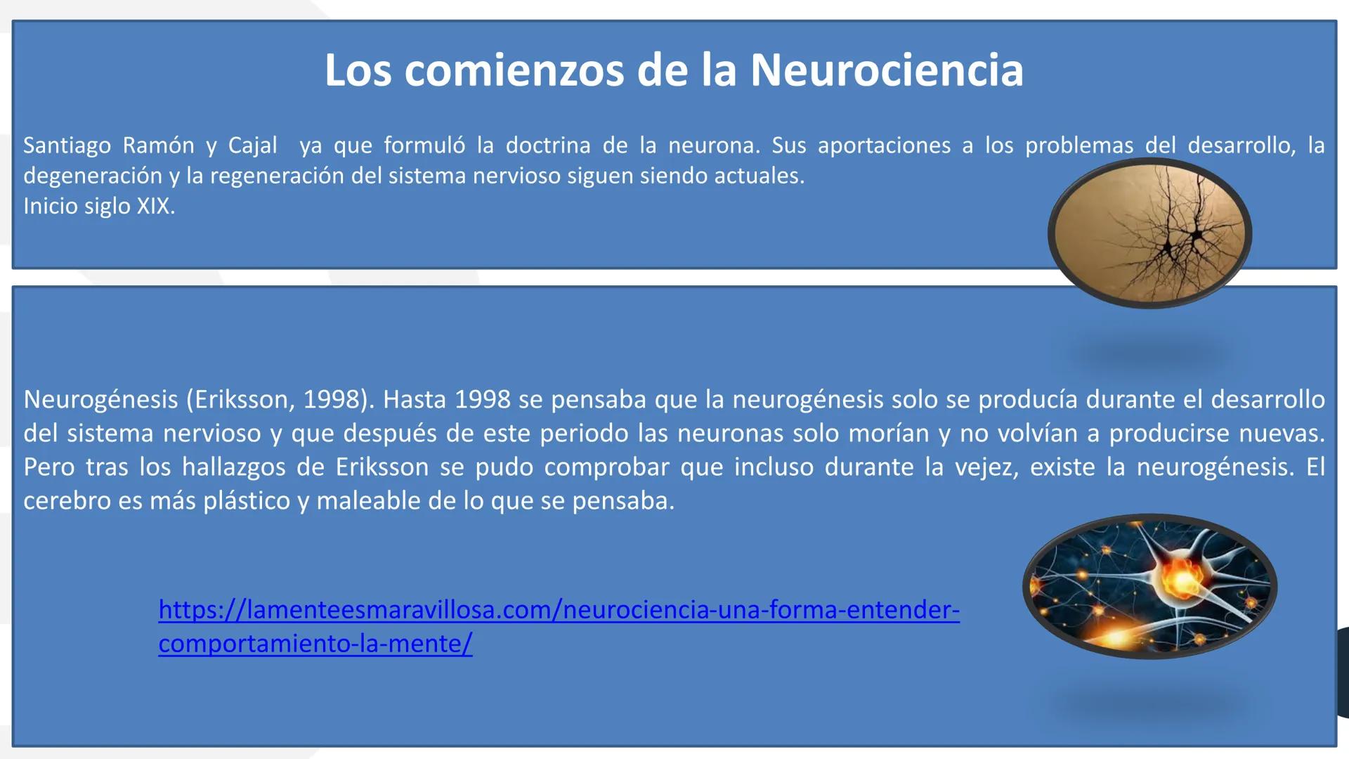 UG
UNIVERSIDAD
COOPERATIVA
DE COLOMBIA

NEUROCIENCIAS COGNITIVA Y DEL COMPORTAMIENTO
CONCEPTOS

FACULTAD DE PSICOLOGIA
PROFESORA: NAZIRA AUN