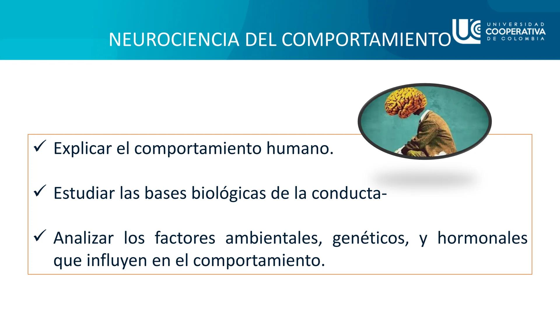 UG
UNIVERSIDAD
COOPERATIVA
DE COLOMBIA

NEUROCIENCIAS COGNITIVA Y DEL COMPORTAMIENTO
CONCEPTOS

FACULTAD DE PSICOLOGIA
PROFESORA: NAZIRA AUN