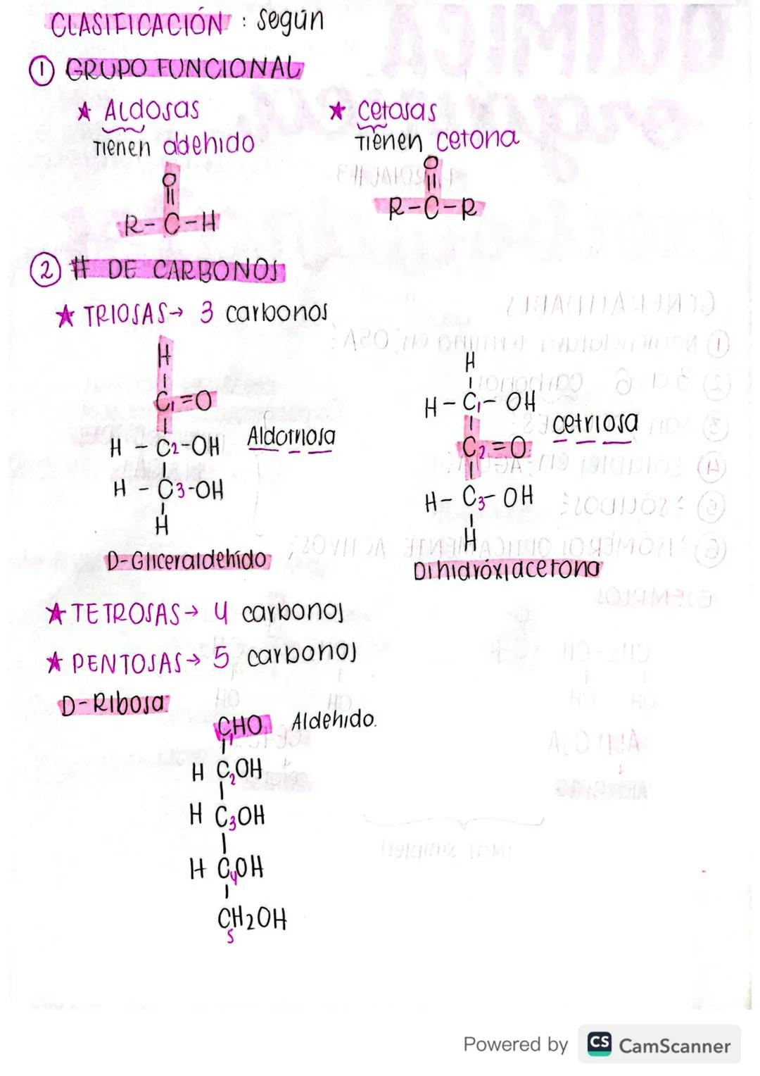 QUÍMICA
organica
PARCIAL #3
MODDA
2010 JA A
carbohidratos
GENERALIDADES
tortor & -ZA2019 A
①Nomenclatura termina en OSA
DIONSHA PROPIEDADES
