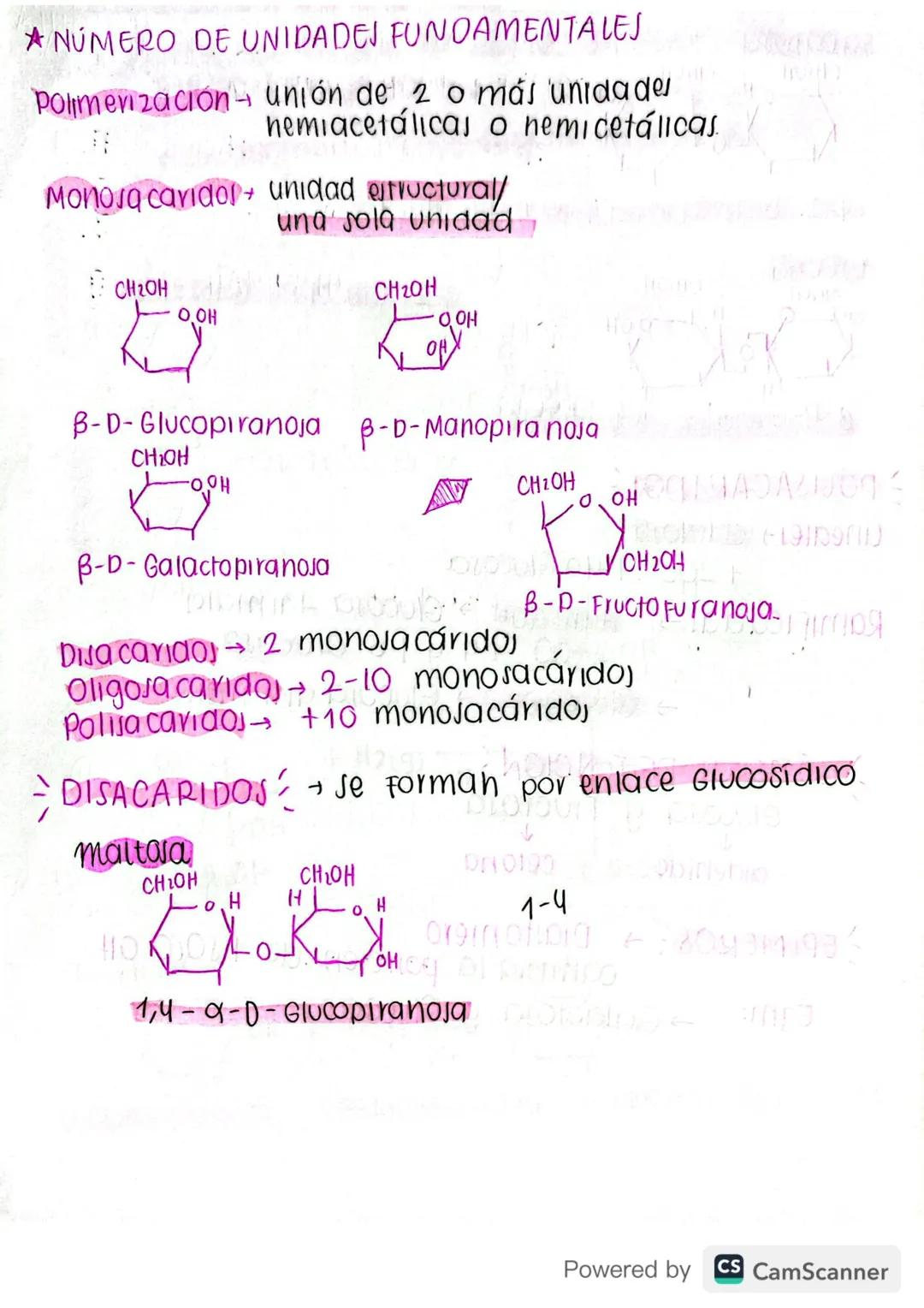 QUÍMICA
organica
PARCIAL #3
MODDA
2010 JA A
carbohidratos
GENERALIDADES
tortor & -ZA2019 A
①Nomenclatura termina en OSA
DIONSHA PROPIEDADES
