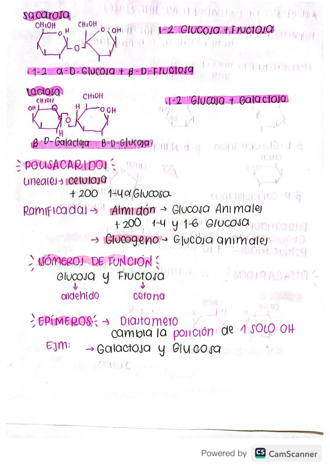 QUÍMICA
organica
PARCIAL #3
MODDA
2010 JA A
carbohidratos
GENERALIDADES
tortor & -ZA2019 A
①Nomenclatura termina en OSA
DIONSHA PROPIEDADES
