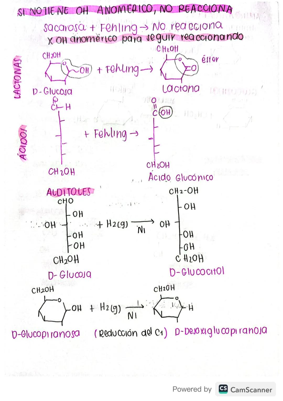 QUÍMICA
organica
PARCIAL #3
MODDA
2010 JA A
carbohidratos
GENERALIDADES
tortor & -ZA2019 A
①Nomenclatura termina en OSA
DIONSHA PROPIEDADES
