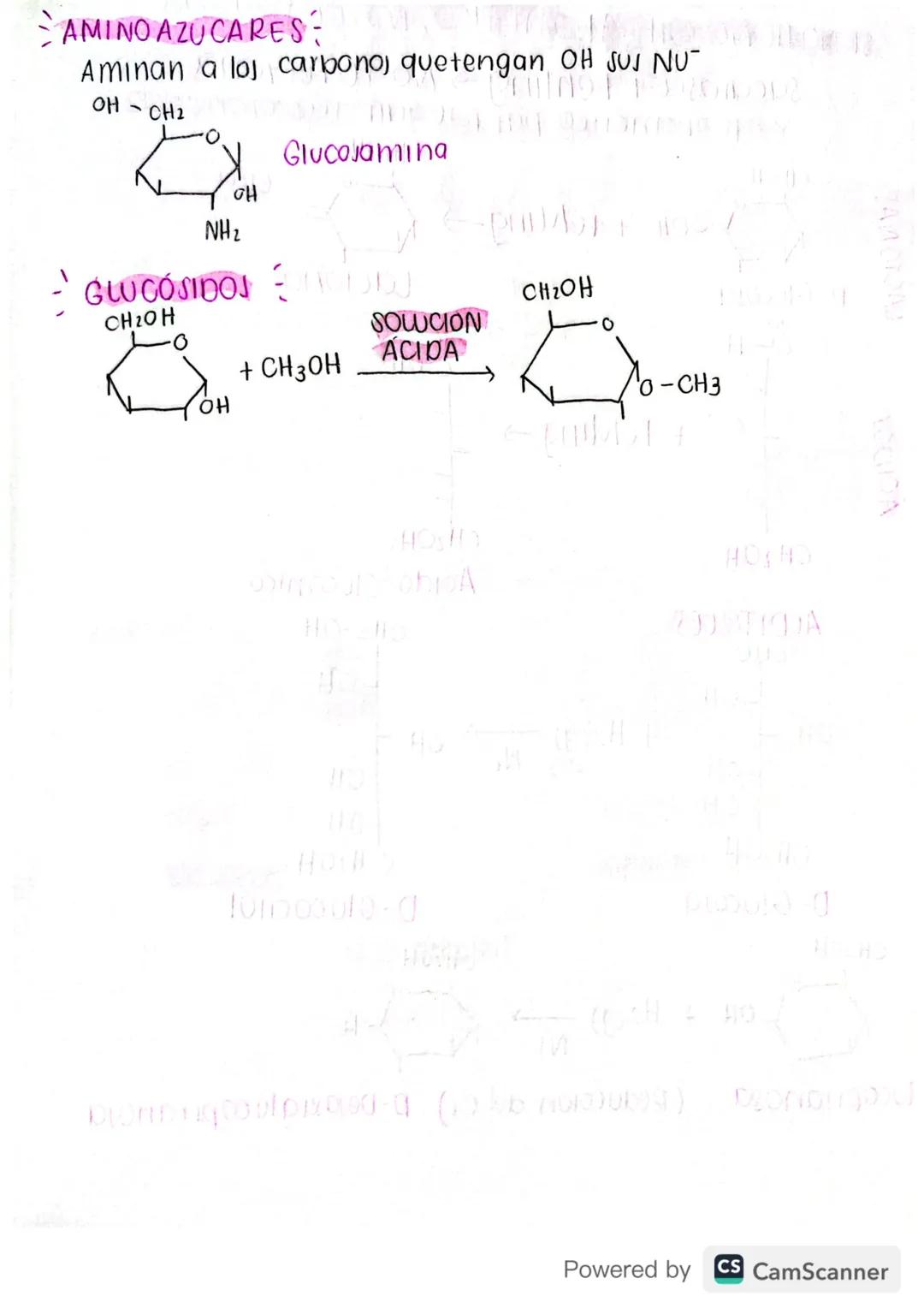 QUÍMICA
organica
PARCIAL #3
MODDA
2010 JA A
carbohidratos
GENERALIDADES
tortor & -ZA2019 A
①Nomenclatura termina en OSA
DIONSHA PROPIEDADES
