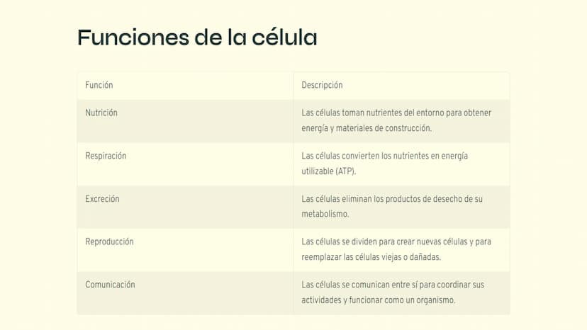 ¿Qué es la célula?
La célula es la unidad básica de la vida. Todos los organismos vivos, desde los
seres humanos hasta las bacterias, están 