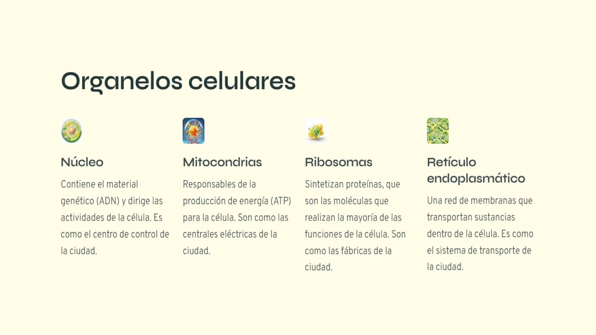 ¿Qué es la célula?
La célula es la unidad básica de la vida. Todos los organismos vivos, desde los
seres humanos hasta las bacterias, están 