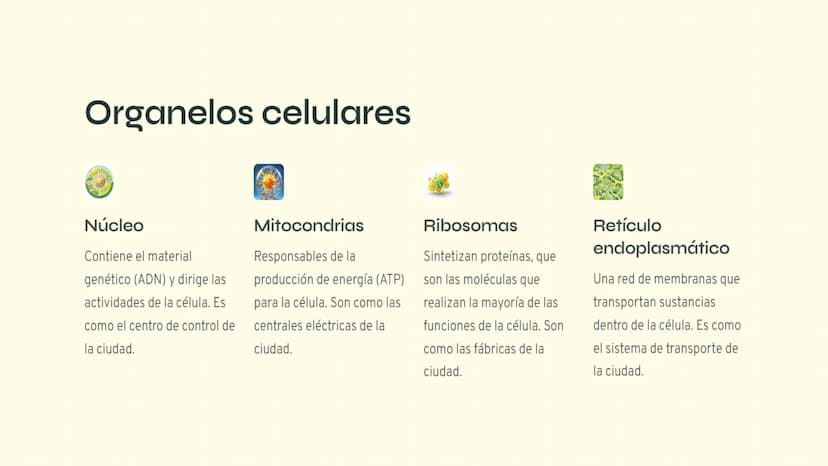 ¿Qué es la célula?
La célula es la unidad básica de la vida. Todos los organismos vivos, desde los
seres humanos hasta las bacterias, están 